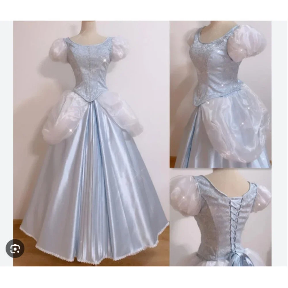 Classic Cinderella Dress Cinderella Cosplay Costume – Lydiacosplay SZ 16/XL